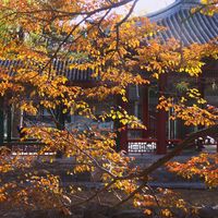 全国赏秋到哪儿了？三档窗口更新：香山本周迎来高峰，四明山要等11月底