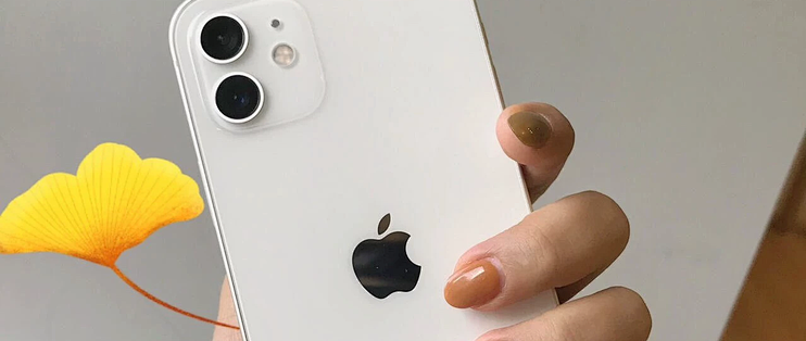 带锁iPhone 12二手306元，当拆件机都费劲，居然引得2万人围观