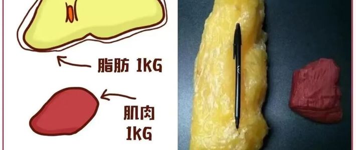跑步瘦了，肚子反而更明显？掉的不只是脂肪，还有肌肉