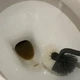 马桶黄圈刷不掉？柠檬酸管轻垢，草酸啃重垢