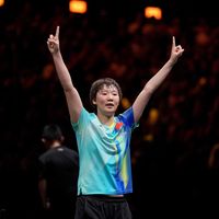 伊藤美诚首次落选日乒国家队：挤掉她的不是年龄，是积分表