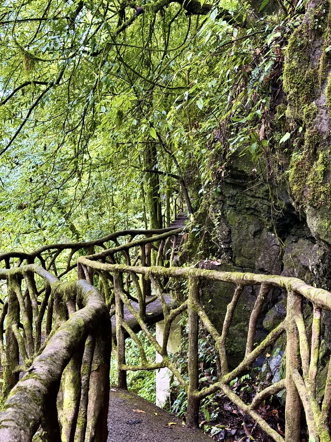 以为入秋就没虫了?重阳登山,当心这两种