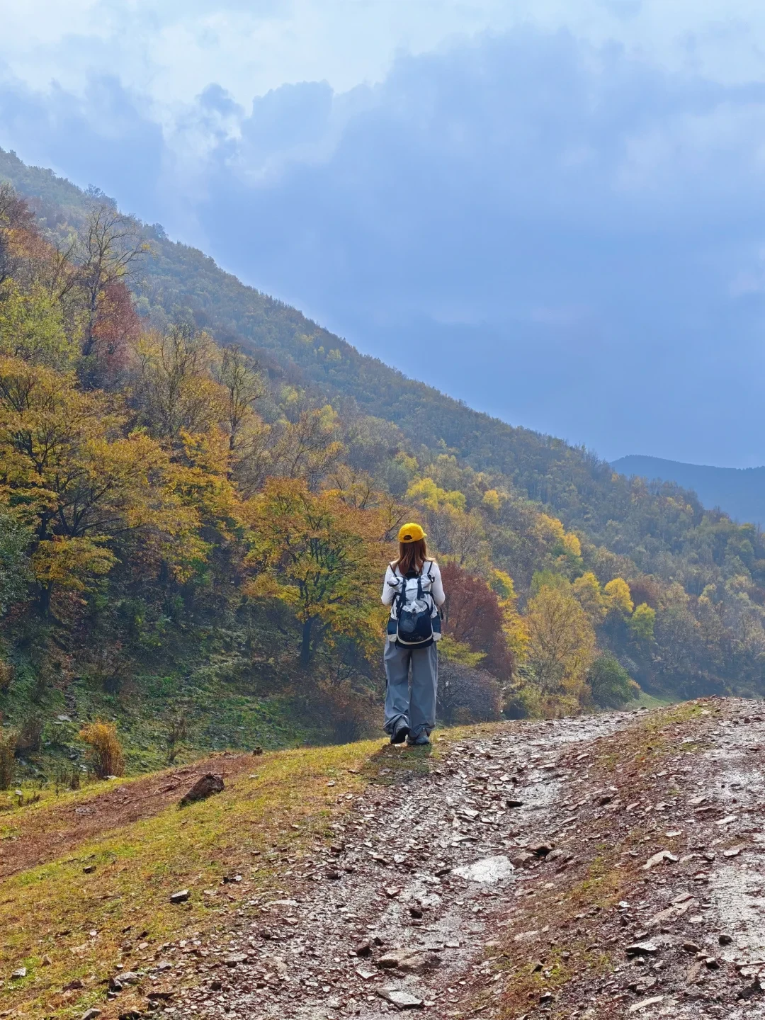 以为入秋就没虫了?重阳登山,当心这两种