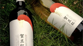 宁夏贺兰红干红葡萄酒双支礼袋装，送礼优选🍷
