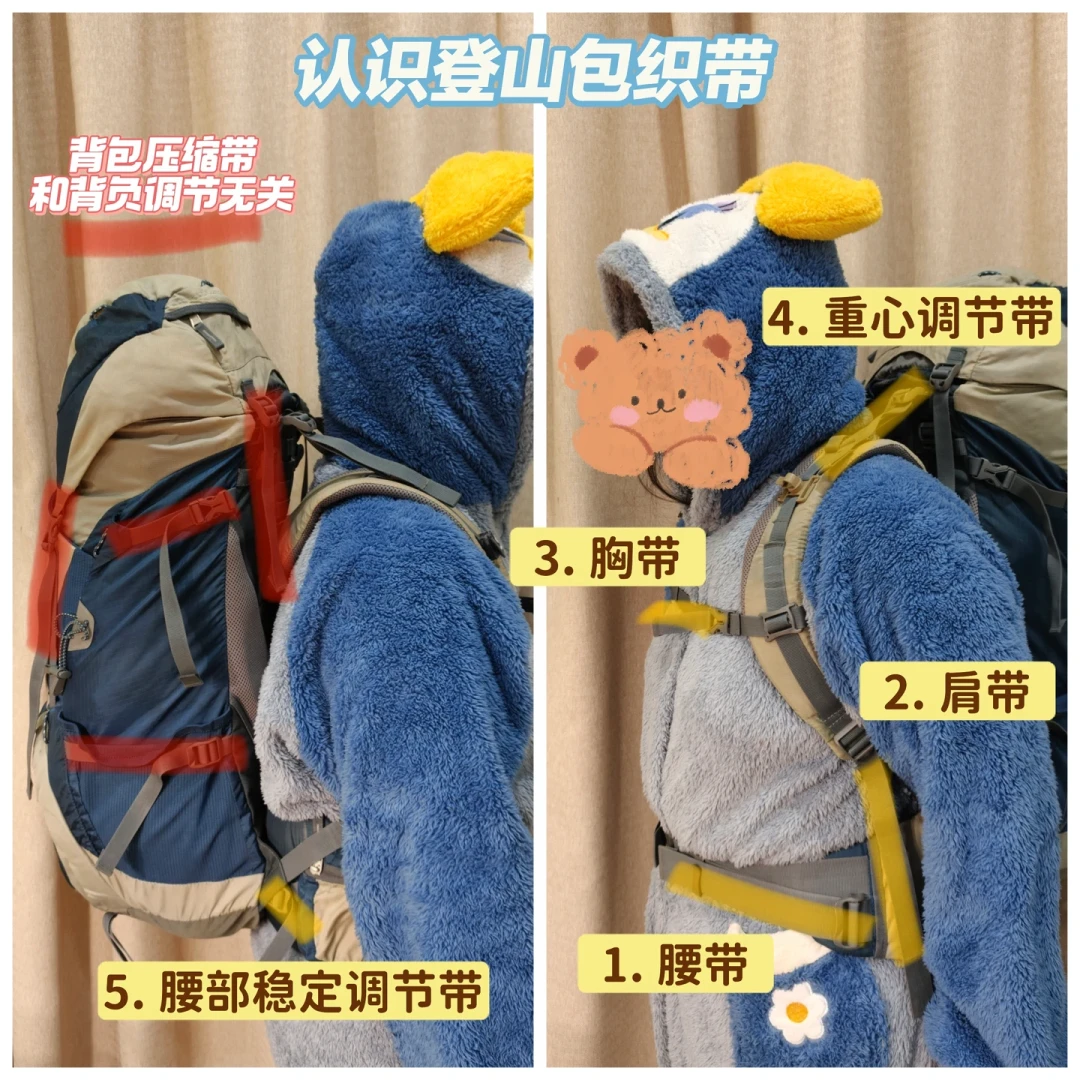 神农新包到货,先别急着勒腰带:8篇帖子90多条评论并成一册“神农调节账”——先塞满、再分板,最后才轮到“髋八肩二”的口诀
