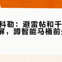 双11的科勒:避雷帖和千元特价同时刷屏,蹲智能马桶前先拆清楚