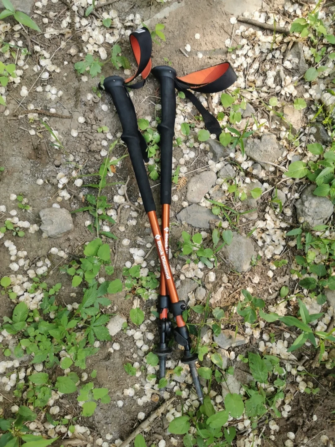 双11入黑钻登山杖:多少是智商税,多少是真护膝