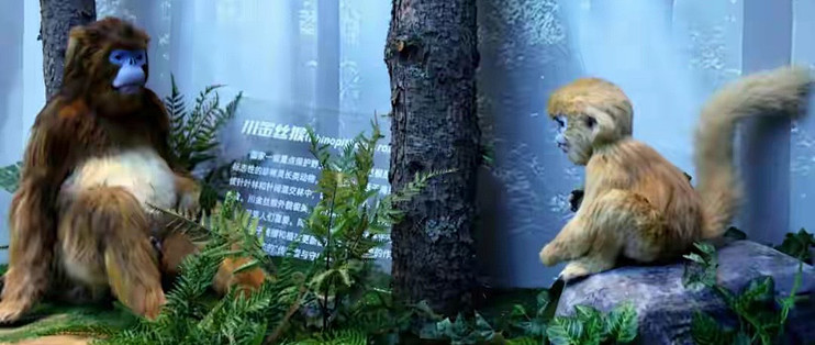 外食多的人挑益生菌看什么？几款整理笔记