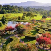 逛遍西双版纳热带植物园，这5条建议不会过期