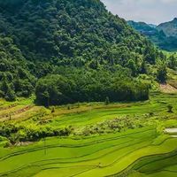 买鱼油先看纯度和剂型：八款高纯 rTG 鱼油的选购笔记