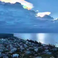 买干海参别只看名气：三个牌子的标签、检测与产地核对记录
