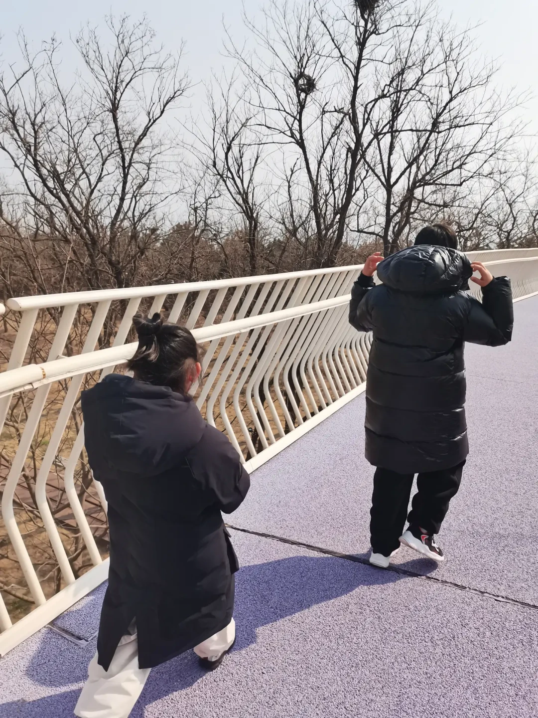 599元住进北方首家海边森泊，秋冬遛娃值不值