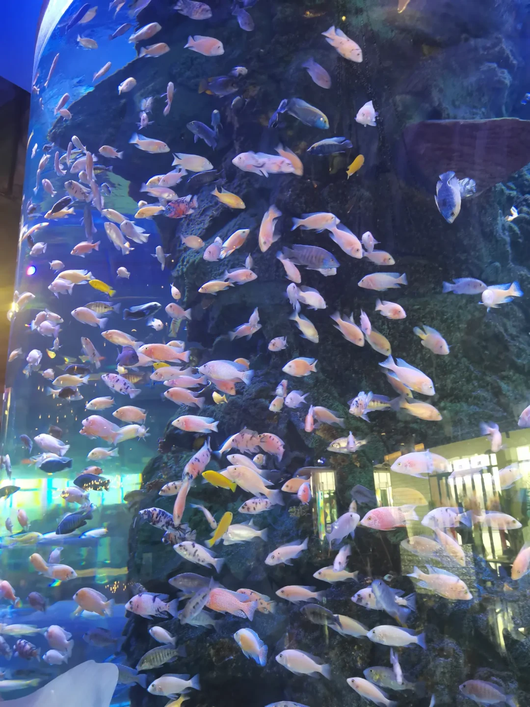 599元住进北方首家海边森泊，秋冬遛娃值不值