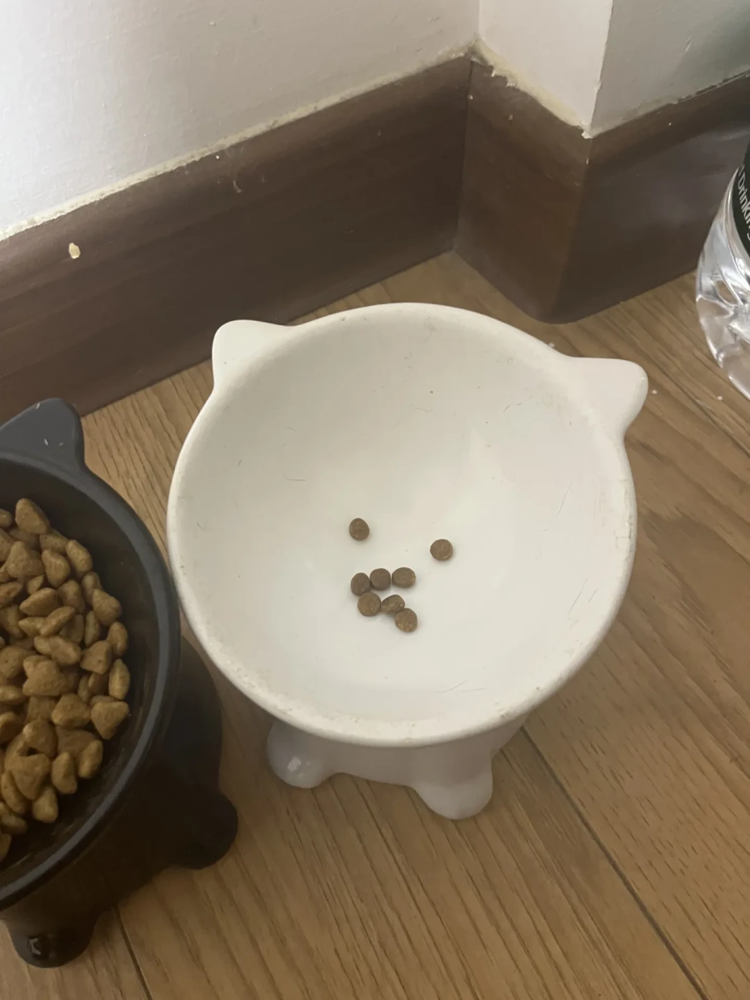换猫粮就软便?别背比例表,先学会"退一步"规则
