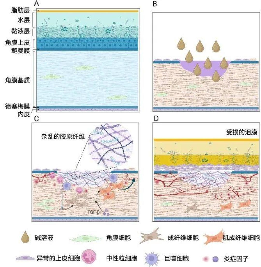 洗衣凝珠粘一起,别硬撕,整坨丢进去洗