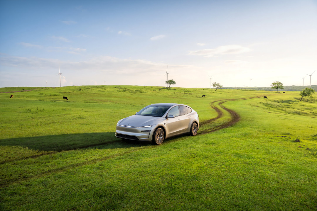 Model Y L