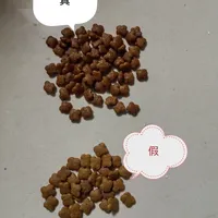 双11囤货窗口打开，猫粮先避雷再下单 | 宠物用品10.16日报