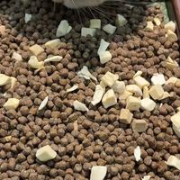 直播间猫粮赠品堆出一座超市、羽绒被8天降价500价保被拒 | 网易严选10.16日报