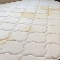 床垫被尿了？别用水冲，用“按压洗”