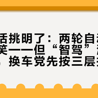 张雪把话挑明了：两轮自动驾驶是个玩笑——但“智驾”溢价想动真格，换车党先按三层拆开看