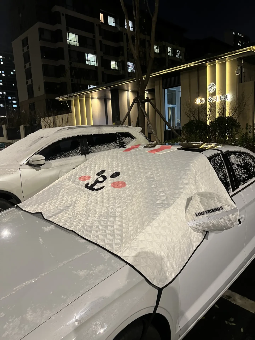 遮雪挡的429条“翻车”评论:磁吸的刮花漆,绑绳的风一吹就跑——入冬铺它前,先分清它挡什么
