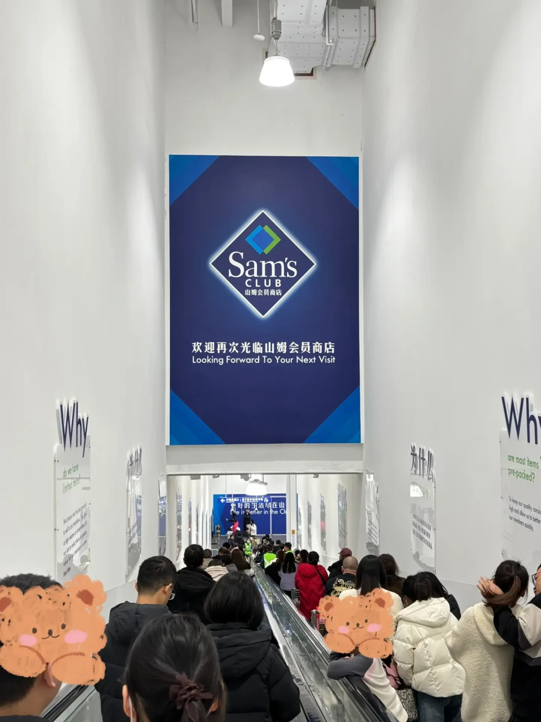 680 的山姆卓越卡,账要重新算了:亲友卡新规刚生效,双 11 囤货前先看清这三笔
