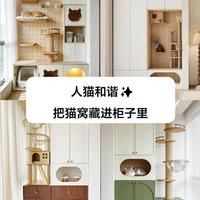 接猫前只需备这十几样！分三批买不踩坑，新手必看攻略