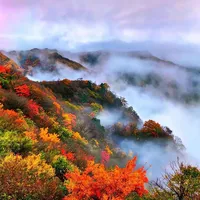 秋假免票+红叶真巅峰窗口 | 国内旅游10.17日报