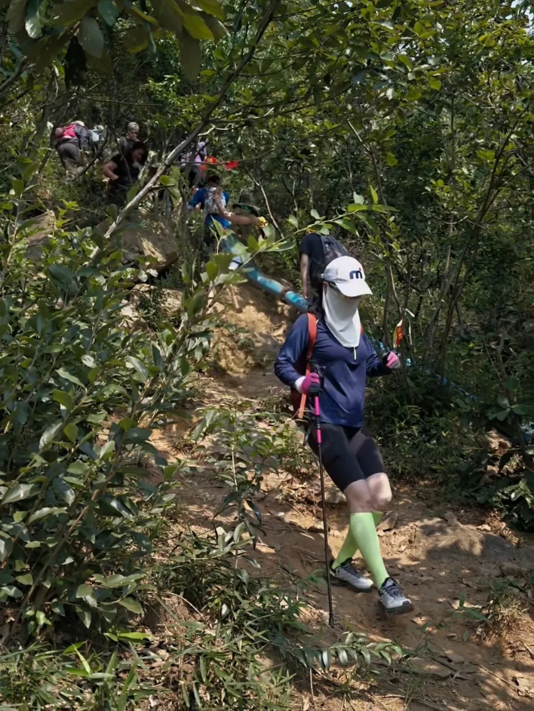 岩羊也能上传路线:这个周末跟着轨迹进山前,先核对这三样