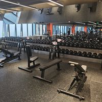 19点半练、23点半睡，装不下练前那杯咖啡