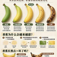 干货图鉴｜香蕉从生到熟全过程解析