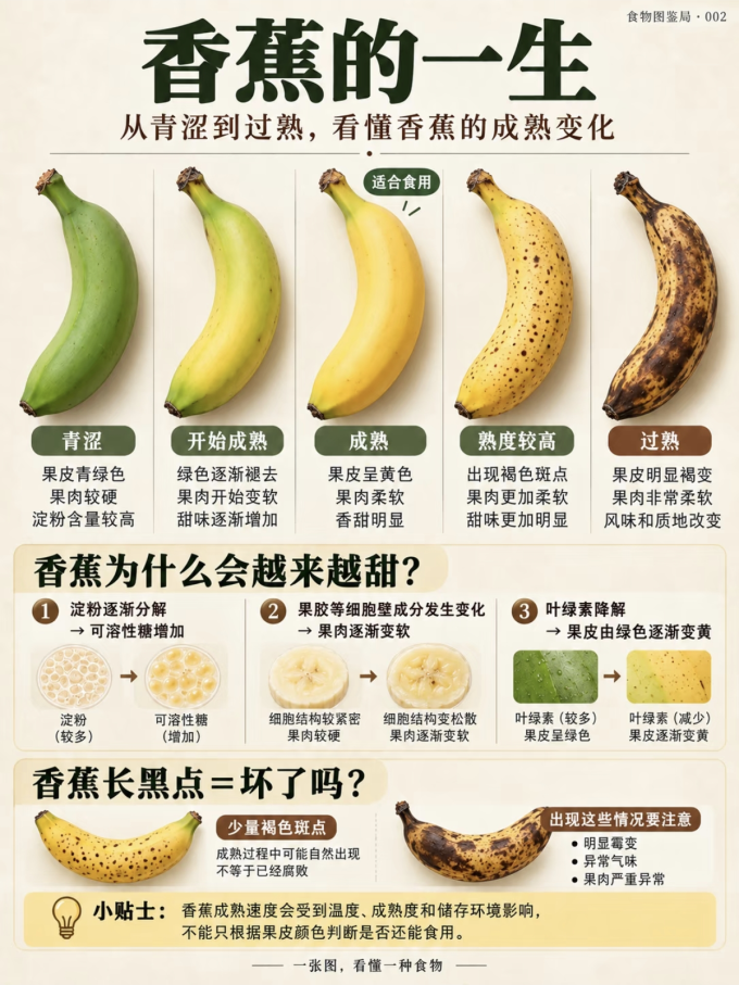 新鲜水果