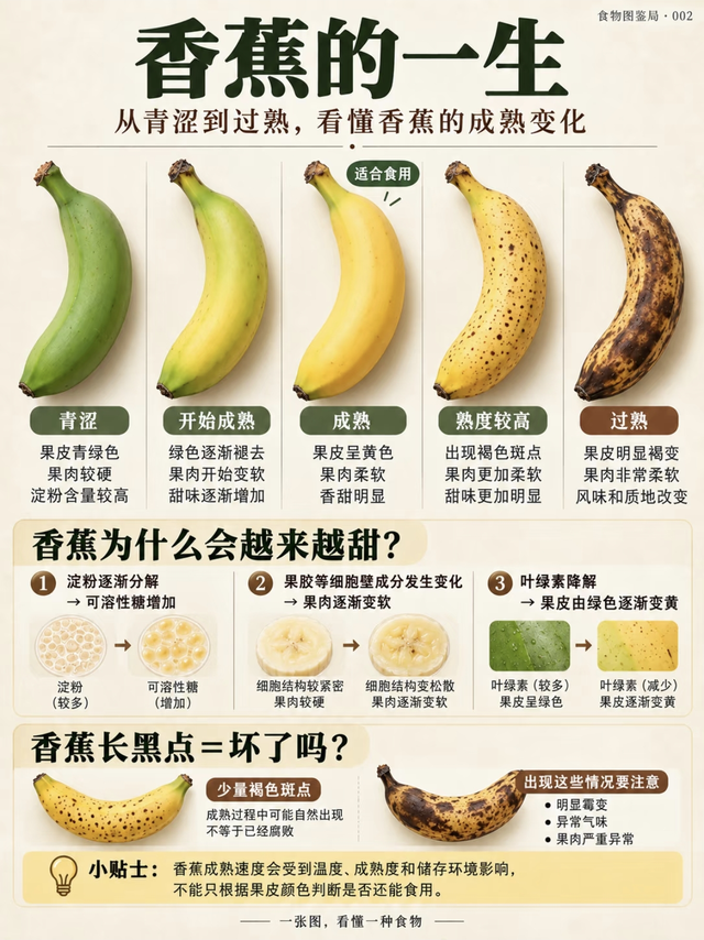 干货图鉴｜香蕉从生到熟全过程解析