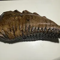双11第一波猛犸牙到手了，先别急着裸手盘：上新牙上手前，先把事故、"油"、"玉化"这三本账对完
