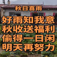 秋日喜雨