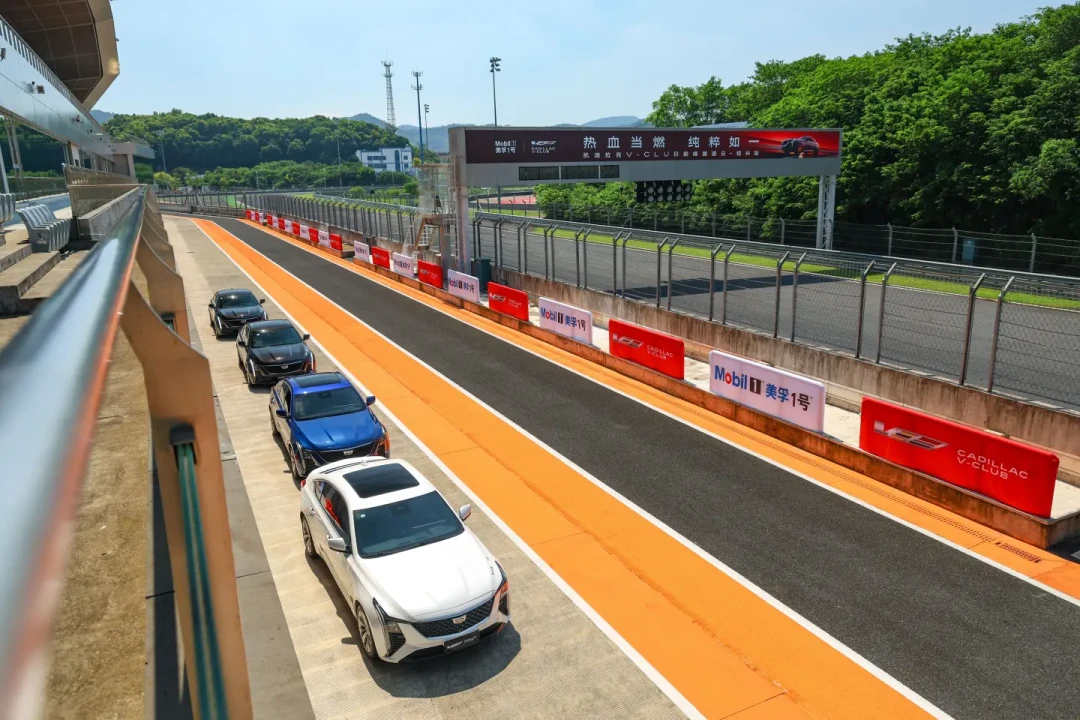 油价冲上110美元,机油要跟着涨?双11囤美孚前先算清这笔账