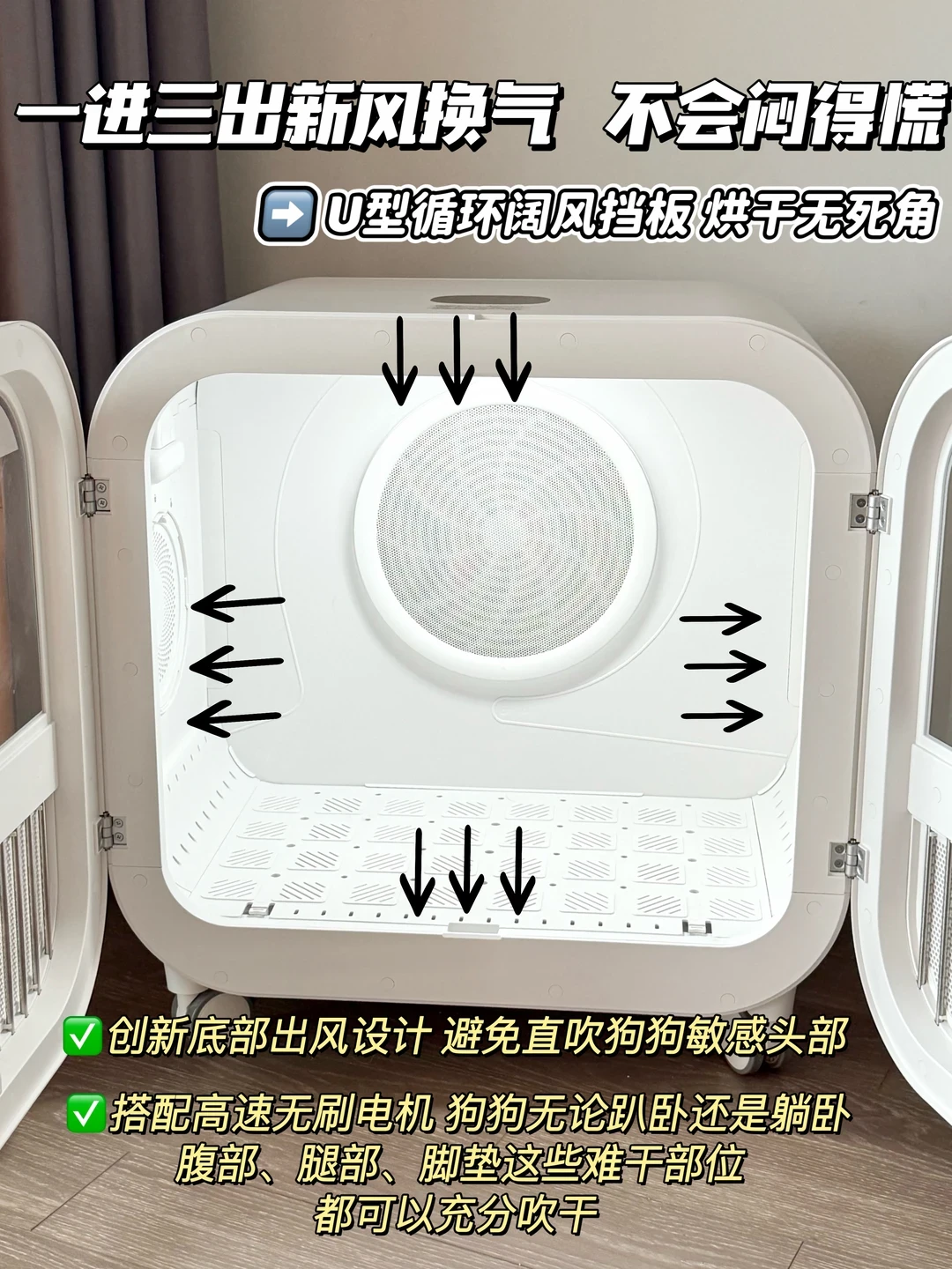 「被吼两小时、狗从洗澡台跳下」撞上「洗澡标价58、出门收120」:宠物店翻车的DIY转战党,双11洗护车开闸前,先把成本、装备、边界这三本账对完