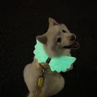 晚上遛狗，反光背心、项圈灯、头灯到底怎么选