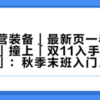 「「露营装备」最新页一半是租赁广告」撞上「双11入手全套明年吃灰」：秋季末班入门算账党，20号晚8点闸门前，先把行情、回本、收纳这三本账对完