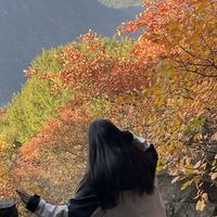 明天重阳，登顶不重要，能无痛下山的才算赢家