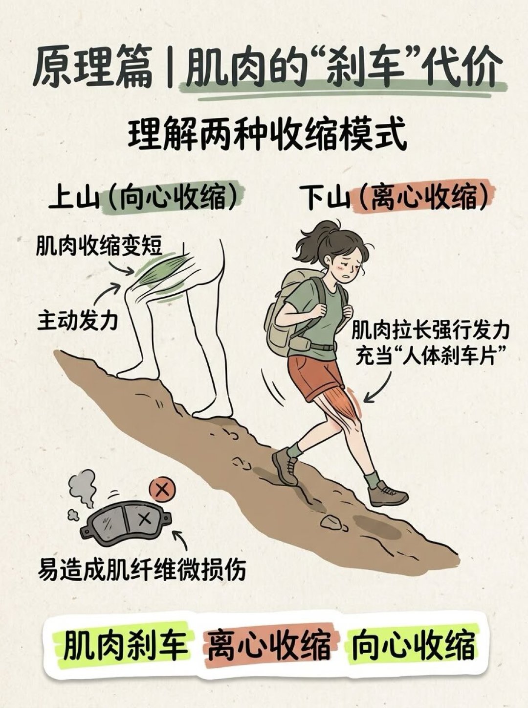 明天重阳，登顶不重要，能无痛下山的才算赢家
