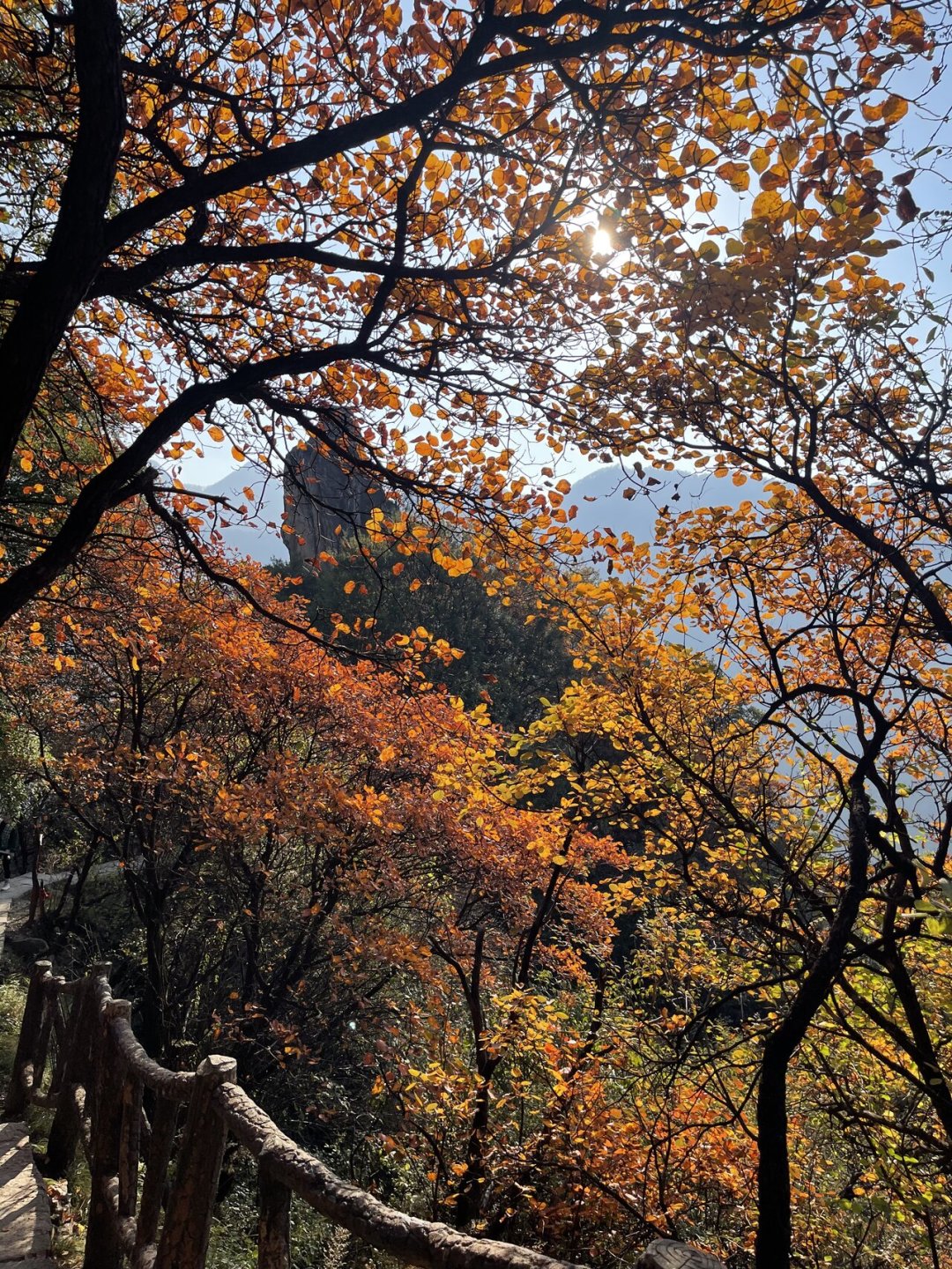 明天重阳，登顶不重要，能无痛下山的才算赢家