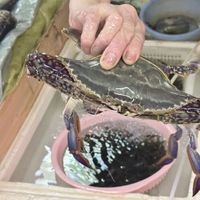 「央视说蟹价还会再降」撞上「我咋一次没遇到便宜的」：重阳前后蹲蟹价的自家吃党，先把规格、时令、渠道这三本账对完