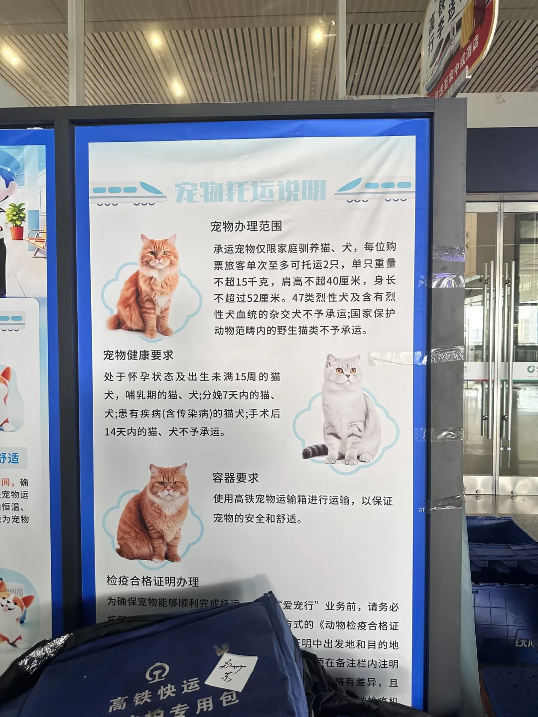你的猫领到高铁票：420趟车开放“爱宠行”，出发前有3个日子要锁死