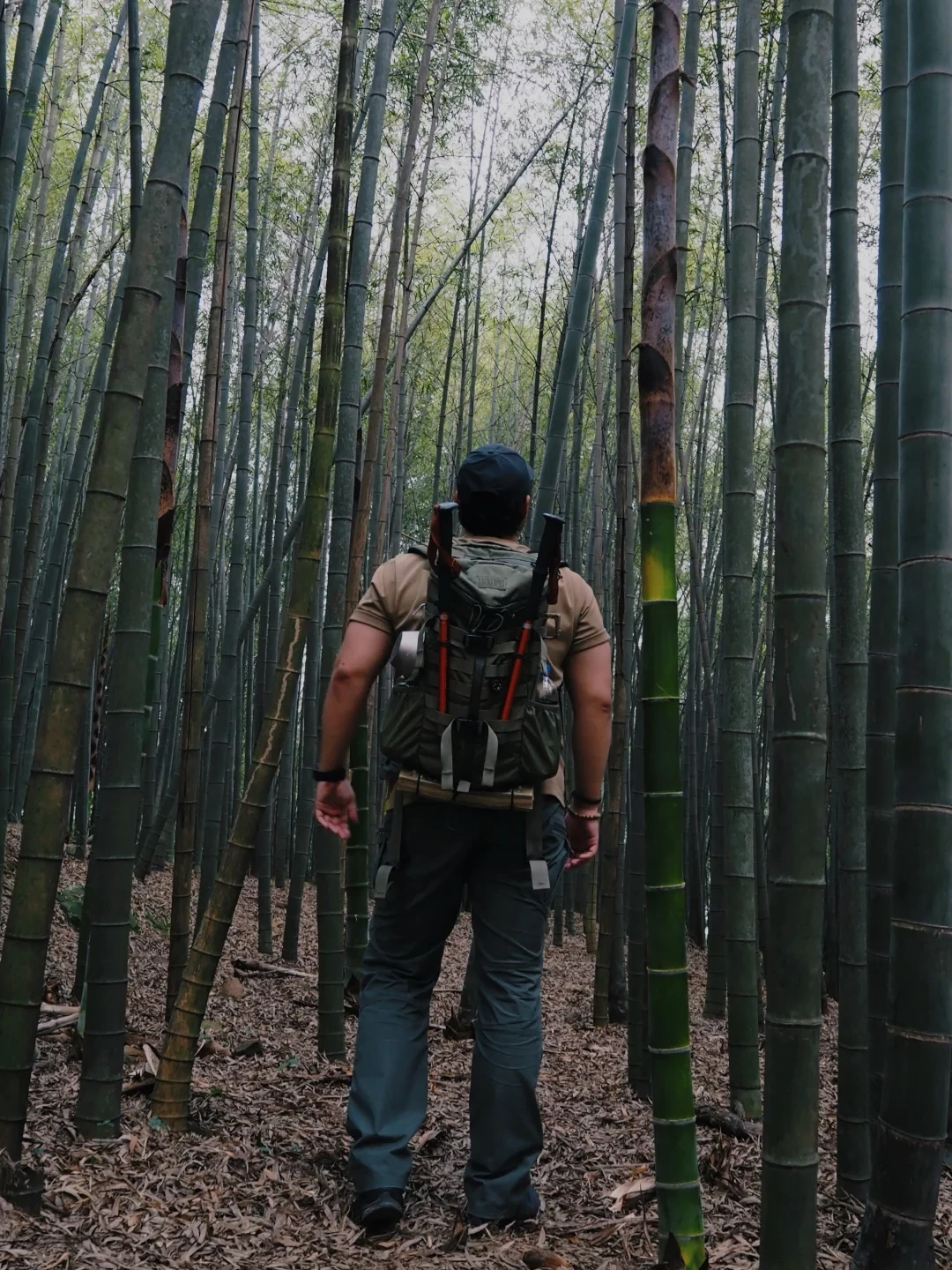神农2day：通勤是神，进山是坑，尺码比容量还多一道坎