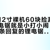 「东成12寸裸机60块捡漏」对上「锂电锯就是小打小闹」：翻完490条回复的锂电锯拆解楼、155条评论的"给老爸买锯"楼、73条回复的9月选购楼和三栋90万播放的回弹警示楼，加上20号晚8点开闸的这波双11，我把给爸妈置办的第一把锂电链锯拆成三笔账、一张长度段位表和四条红线
