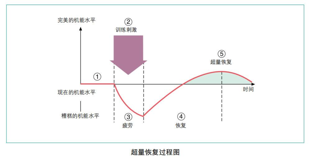 深蹲连续两次加重失败,我的反应是下周组数砍半