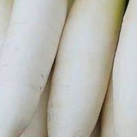 白萝卜的平凡特质与深层价值