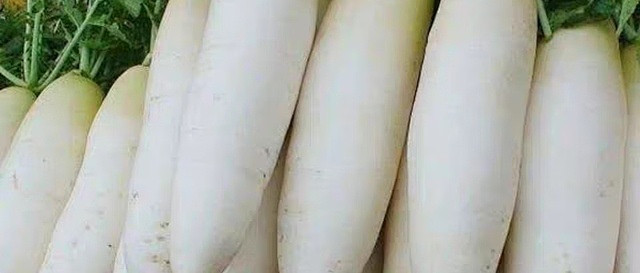 白萝卜的平凡特质与深层价值