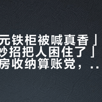 「484元铁柜被喊真香」撞上「收纳小妙招把人困住了」：蹲双11的租房收纳算账党，10月20号晚8点闸门前，先把价梯、尺寸、烂尾这三本账对完